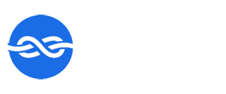 Payroll umbrella services in Switzerland for contractors and companies -  Diligo