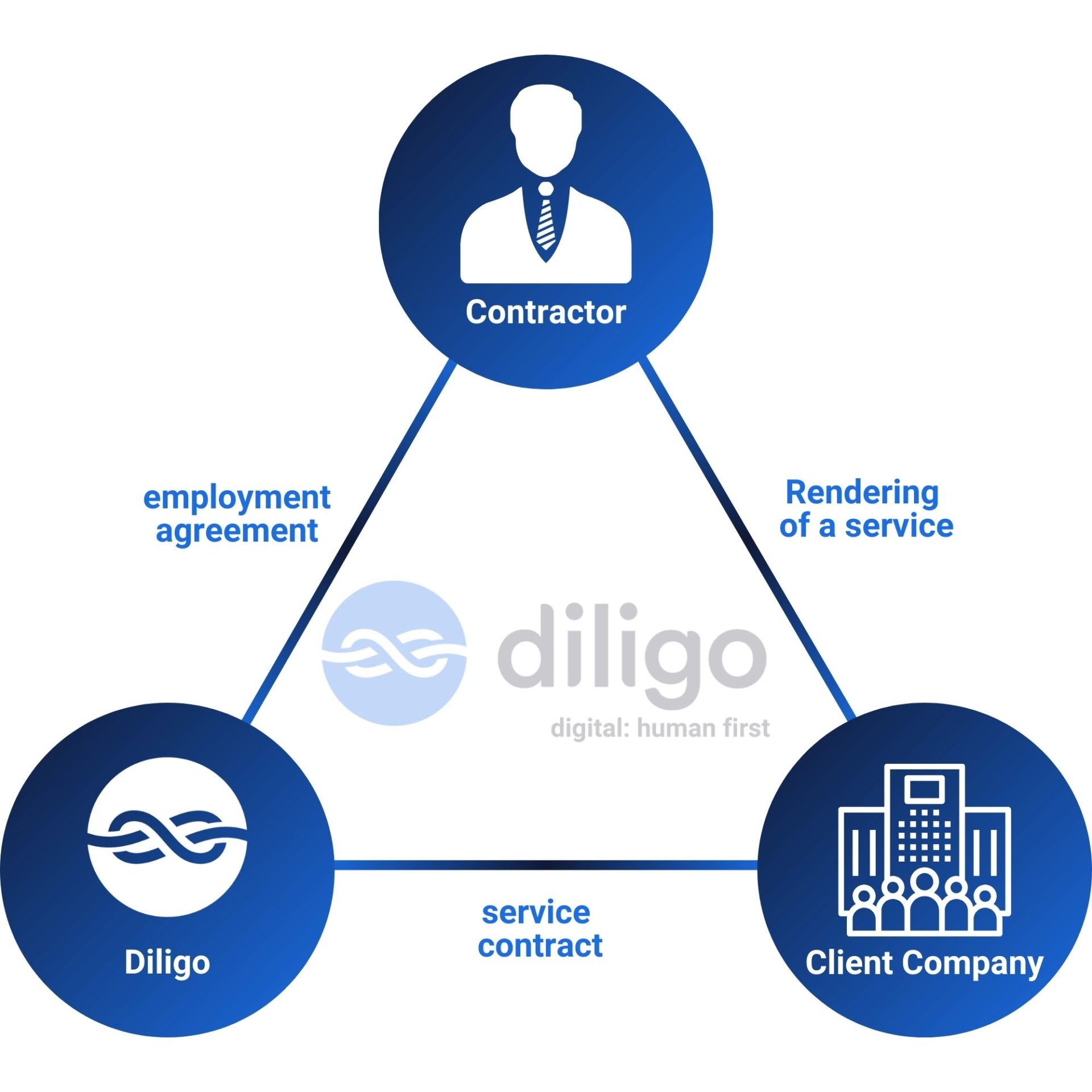 Contractor, Diligo, Client Company relationship
