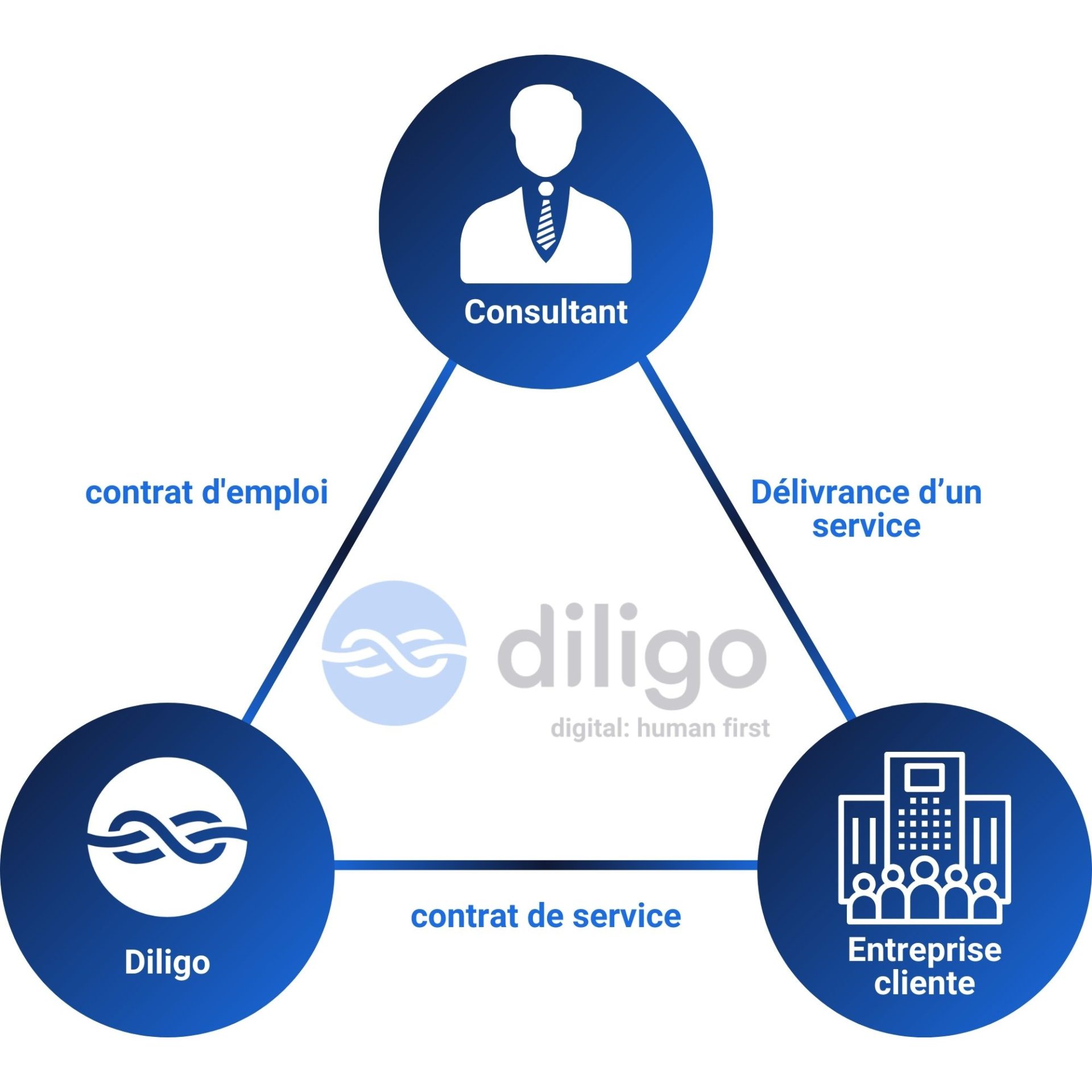 Consultant service delivery framework diagram
